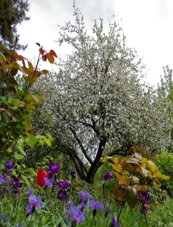Bed and Breakfast Le Grand Jardin Beaune  Zewnętrze zdjęcie